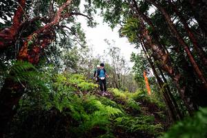 BIB: 
                            <button type="button" onclick="openModal(26201502)" class="btn btn-primary btn-sm float-right btn-popup" data-toggle="modal" data-target=".modal-high-quality">
                        <i class="fas fa-shopping-cart"></i> Add to Cart
                    </button>
                                            <button type="button" onclick="isThisMe(26201502, true)" class="btn btn-success btn-sm float-right btn-popup btn-isme hidden" data-toggle="tooltip" data-placement="bottom" title="นี่คือรูปของคุณใช่ไหม คลิกที่นี่เพื่อเอาเข้าอัลบั้ม">
                        <i class="fas fa-plus"></i> Add to album
                    </button>
                    <button type="button" onclick="isThisMe(26201502, false)" class="btn btn-warning btn-sm float-right btn-popup btn-isnotme hidden">
                        <i class="fas fa-ban"></i> Remove from album
                    </button>